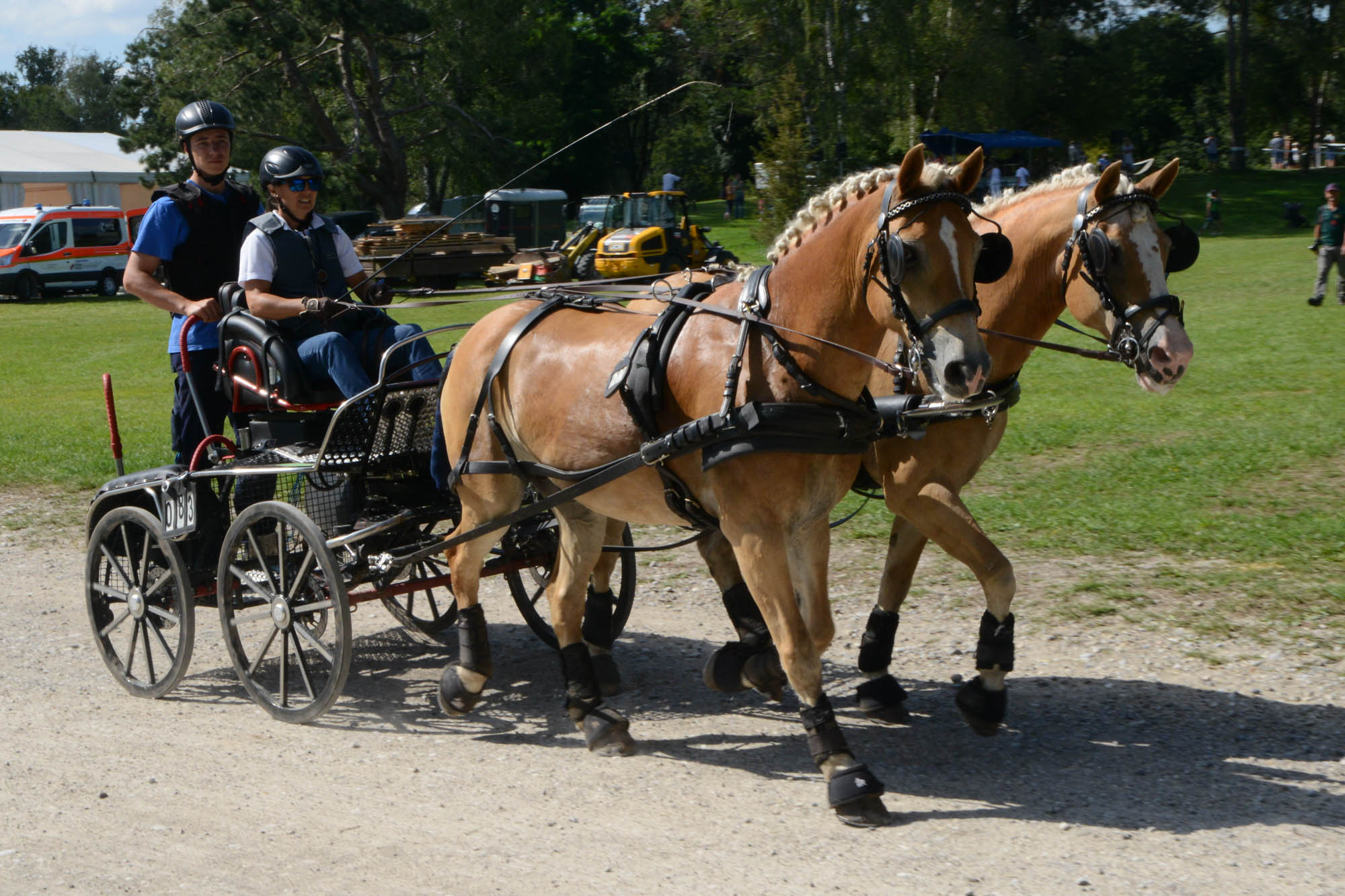 Beifahrer auf der Kutsche.