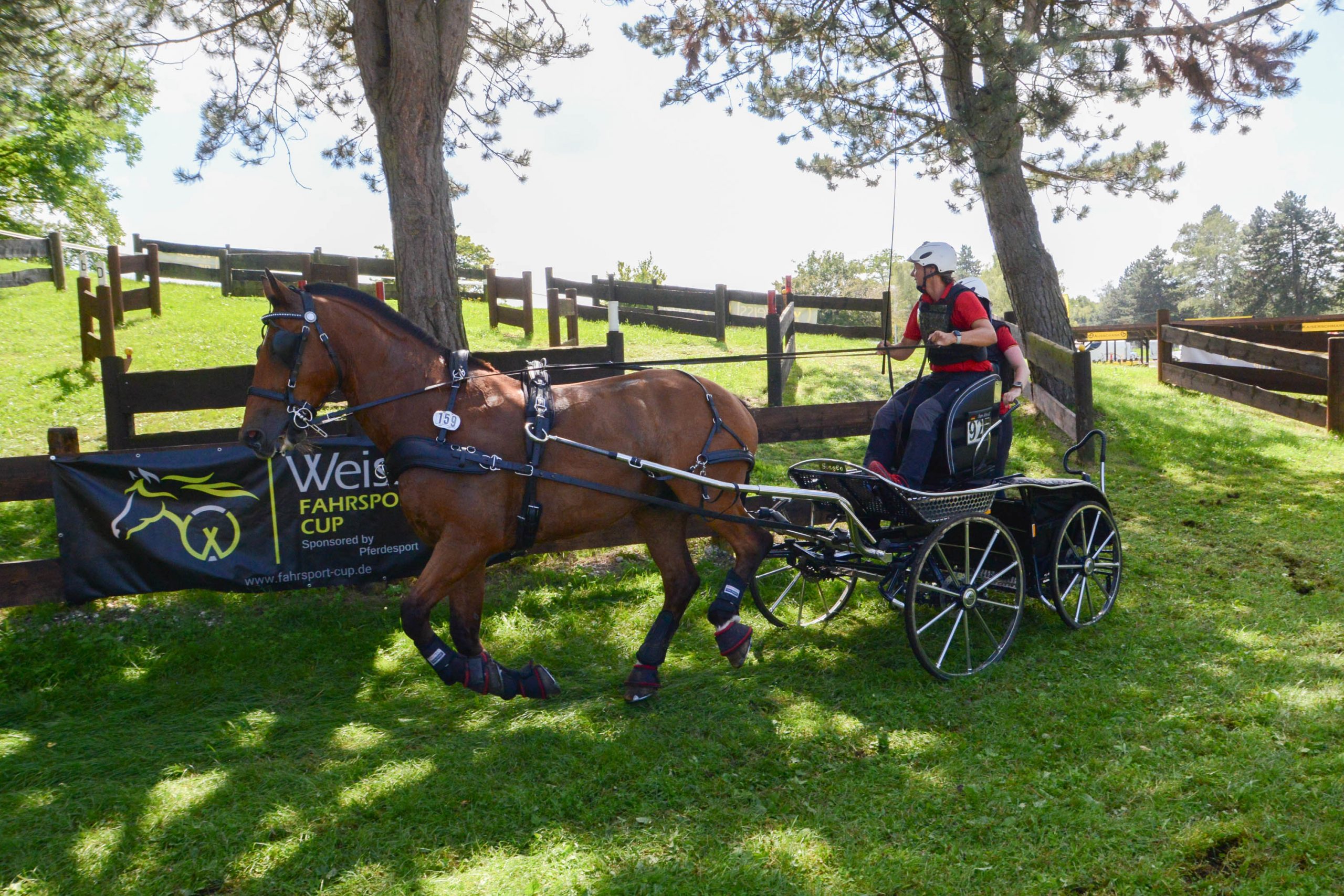 Einspänner vor der Kutsche