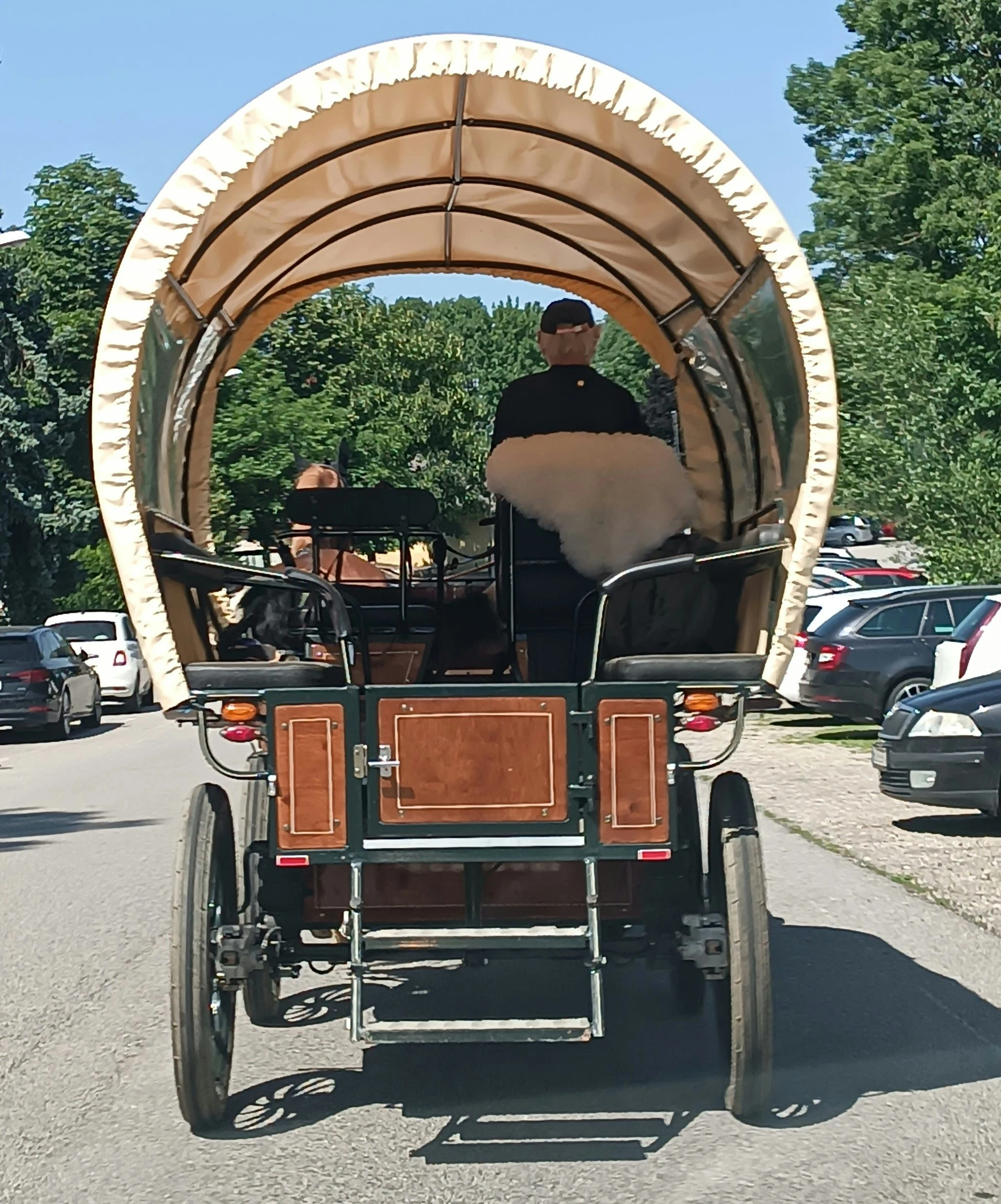 Kutsche im STraßenverkehr